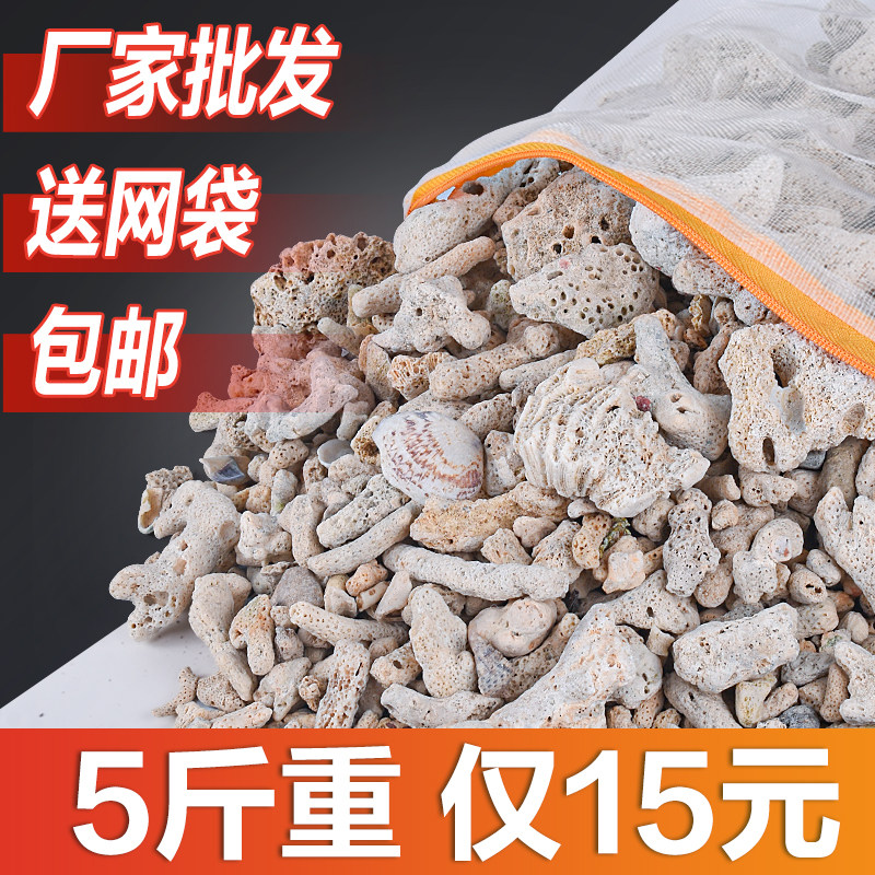 天然珊瑚骨滤材鱼缸过滤材料净水珊瑚石净化珊瑚砂鱼缸滤材