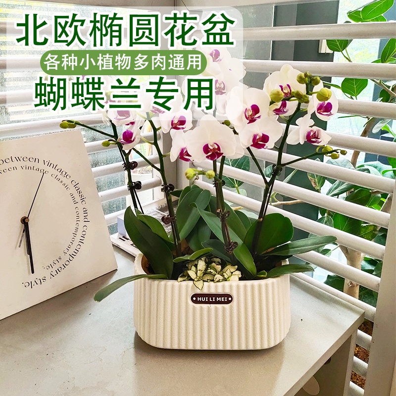 采用PP树脂材质结实且安全无味道