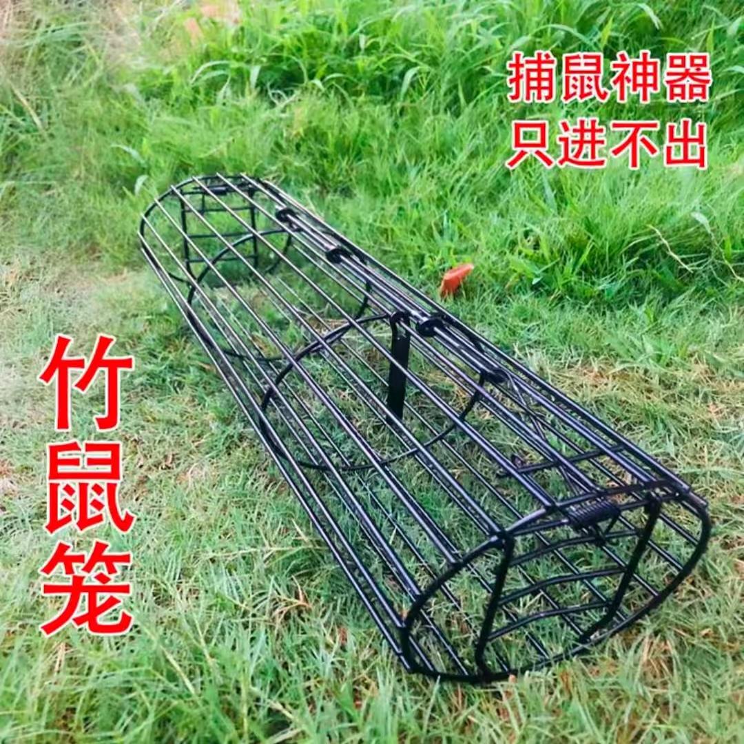 圆形老鼠笼子地鼠笼野鼠笼捕鼠神器双门耗子笼自动捕鼠铁鼠笼子