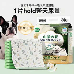 狗狗加厚除臭山茶花留香吸水隔尿垫宠物尿片尿布幼犬诱导尿垫猫用