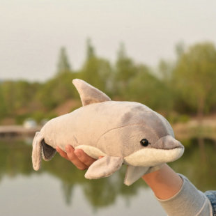 海洋动物 仿真海豚 毛绒玩具公仔玩偶 鱼类 dolphin Delphinidae