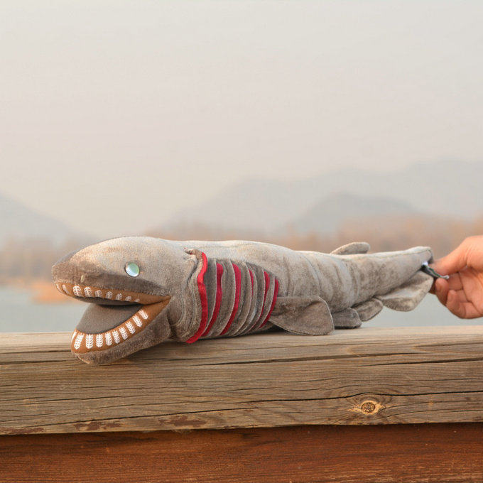 仿真皱鳃鲨 拟鳗鲛 六鳃鲨目 frilled shark 毛绒玩具公仔玩偶