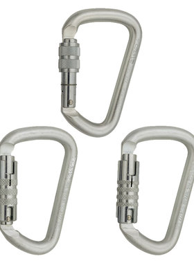 CAMP 1877 D PRO LOCK登山救援D形丝扣钢锁自动主锁钢制安全钩锁