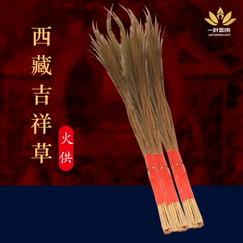 西藏天然吉祥草火供草康巴吉祥草火供吉祥草长一把30支寿茅草干花,鲜花速递/花卉仿真/绿植园艺,干花,淘宝优惠券,粉丝福利购,淘宝优惠卷