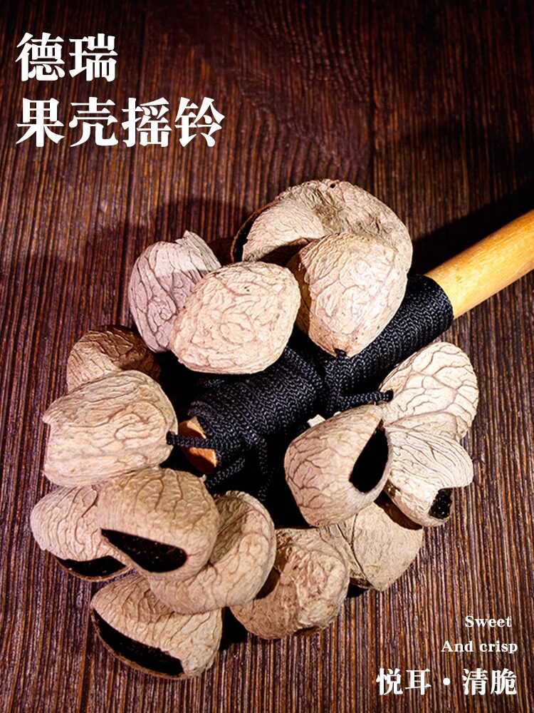 德瑞Terre摇铃非洲植物果实
