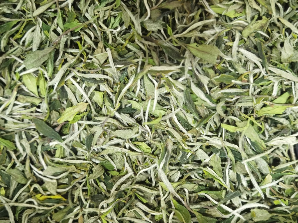 2022福鼎白茶管阳高山花香白牡丹送礼盒品藏500g 茶 白牡丹 原图主图