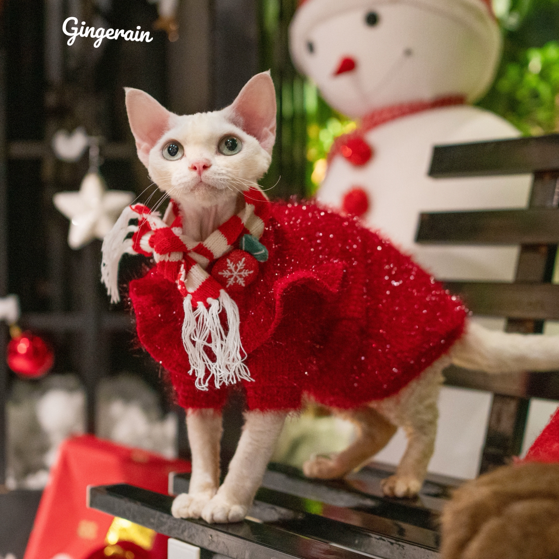 GINGERAIN猫咪闪光毛衣