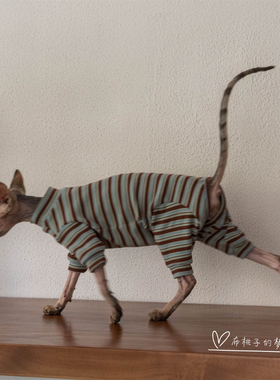 GINGERAIN 无毛猫护肚服德文猫衣服轻盈保暖打底衫