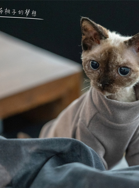 GINGERAIN 加厚300克重打底衫无毛猫德文猫衣服发热绒耐脏内衣