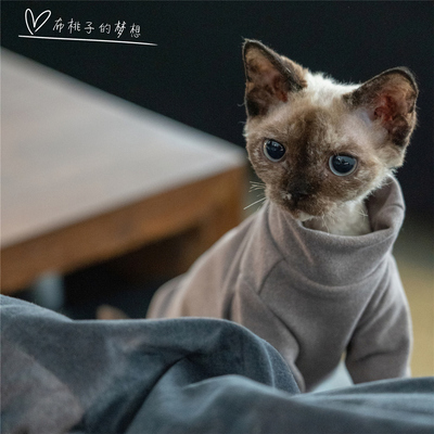 GINGERAIN无毛猫衣服耐脏打底衫