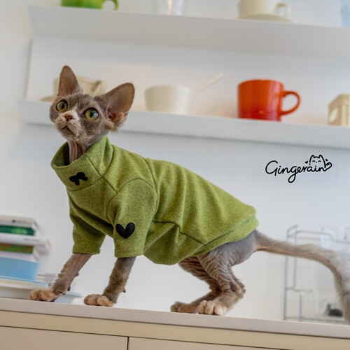 GINGERAIN 发热绒打底衫无毛猫衣服德文阳离子轻盈保暖T恤内衣