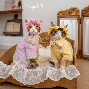 GINGERAIN 洋娃娃格子衬衫德文猫无毛猫衬衣甜美泡泡棉套装