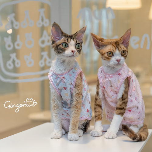 GINGERAIN 小蛋糕纯棉小背心猫衣服无毛猫柔软舒适蕾丝边早秋穿搭