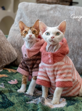 GINGERAIN 暖绒绒睡衣德文猫衣服无毛猫加厚保暖连帽衫