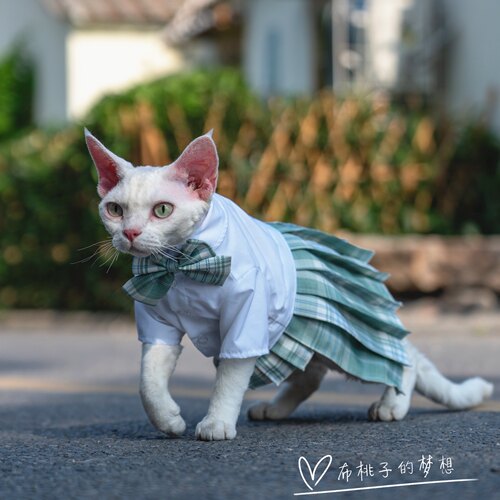 无毛猫春夏JK制服裙GINGERAIN