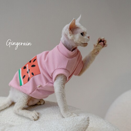 GINGERAIN 西瓜的季节彩色空调服保暖德文猫衣服无毛猫背心矮脚