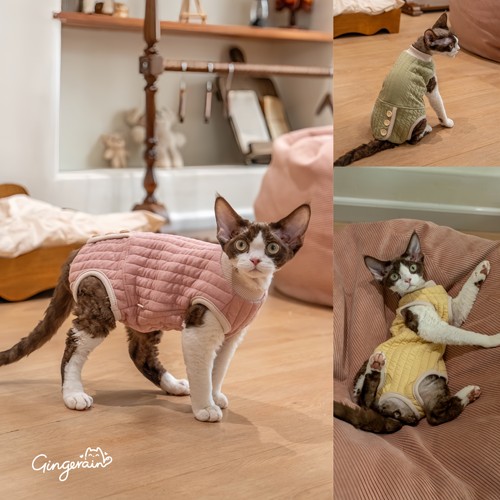 GINGERAIN 夹棉护肚无腿保暖卫衣实用德文猫衣服无毛猫包肚外出服