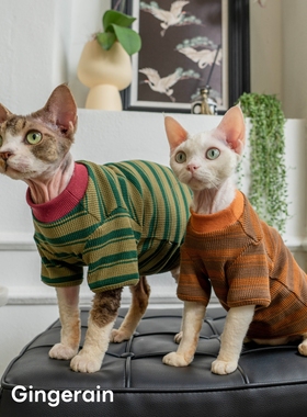 GINGERAIN 德文猫衣服棉质华夫格无毛猫条纹圆领打底衫T恤小卫衣