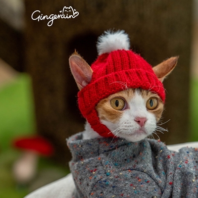 GINGERAIN  小红帽德文猫帽子毛线无毛猫露耳帽保暖外出拍照道具