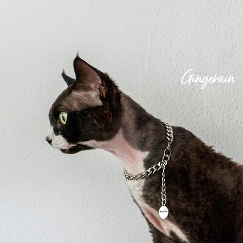 GINGERAIN德文猫项链首饰不锈钢