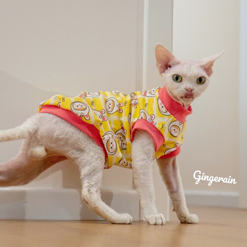 GINGERAIN无毛猫卡通印花背心
