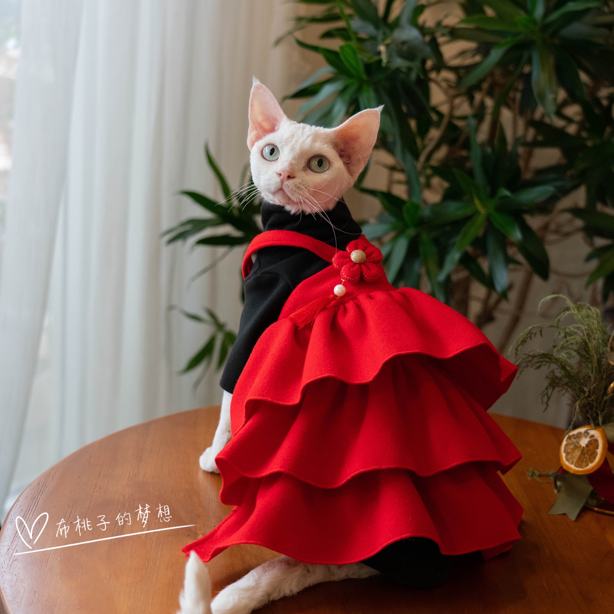 GINGERAIN猫咪新年气氛蛋糕裙