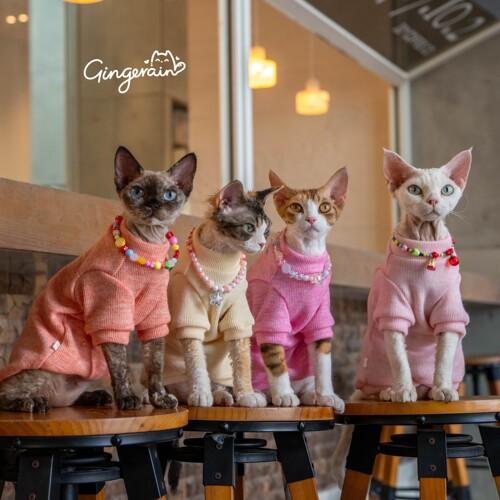 GINGERAIN 彩色打底衫实用耐磨德文猫衣服无毛猫简约保暖卫衣
