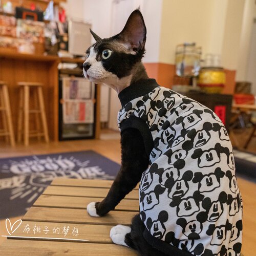 德文东方纯棉米老鼠印花无毛猫