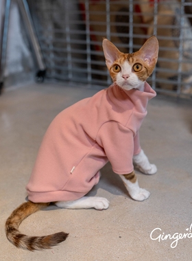 GINGERAIN 加厚300克重打底衫无毛猫德文猫衣服发热绒耐脏内衣