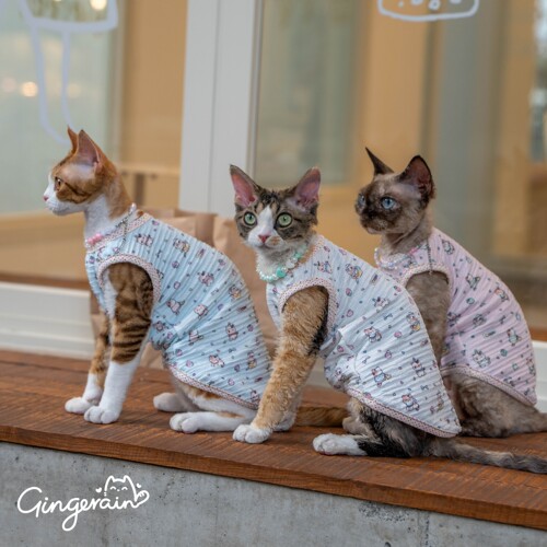 GINGERAIN 猫咪印花背心无毛猫衣服斯芬克斯德文耐磨抗皱透气T恤