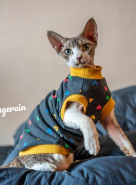 GINGERAIN无毛猫卡通印花背心