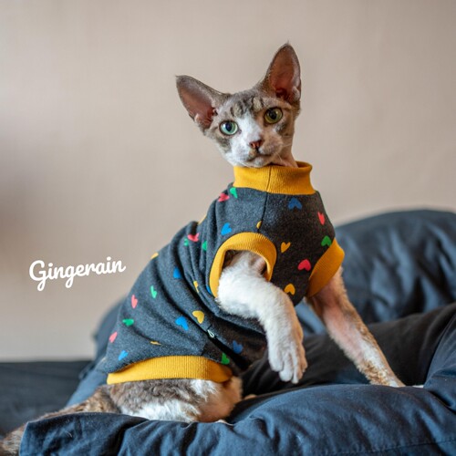 GINGERAIN无毛猫卡通印花背心