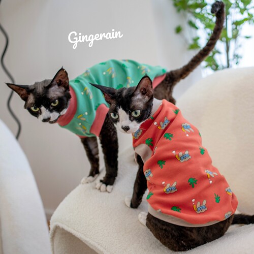 GINGERAIN无毛猫卡通印花背心