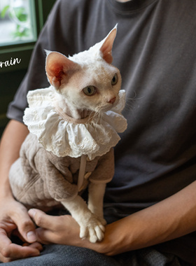 GINGERAIN 夹棉小外套系扣复古超实用德文猫衣服无毛猫保暖卫衣