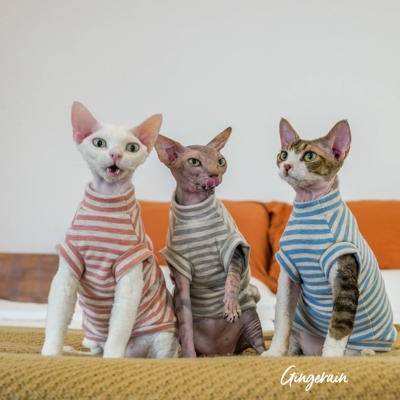 德文猫GINGERAIN自发热背心