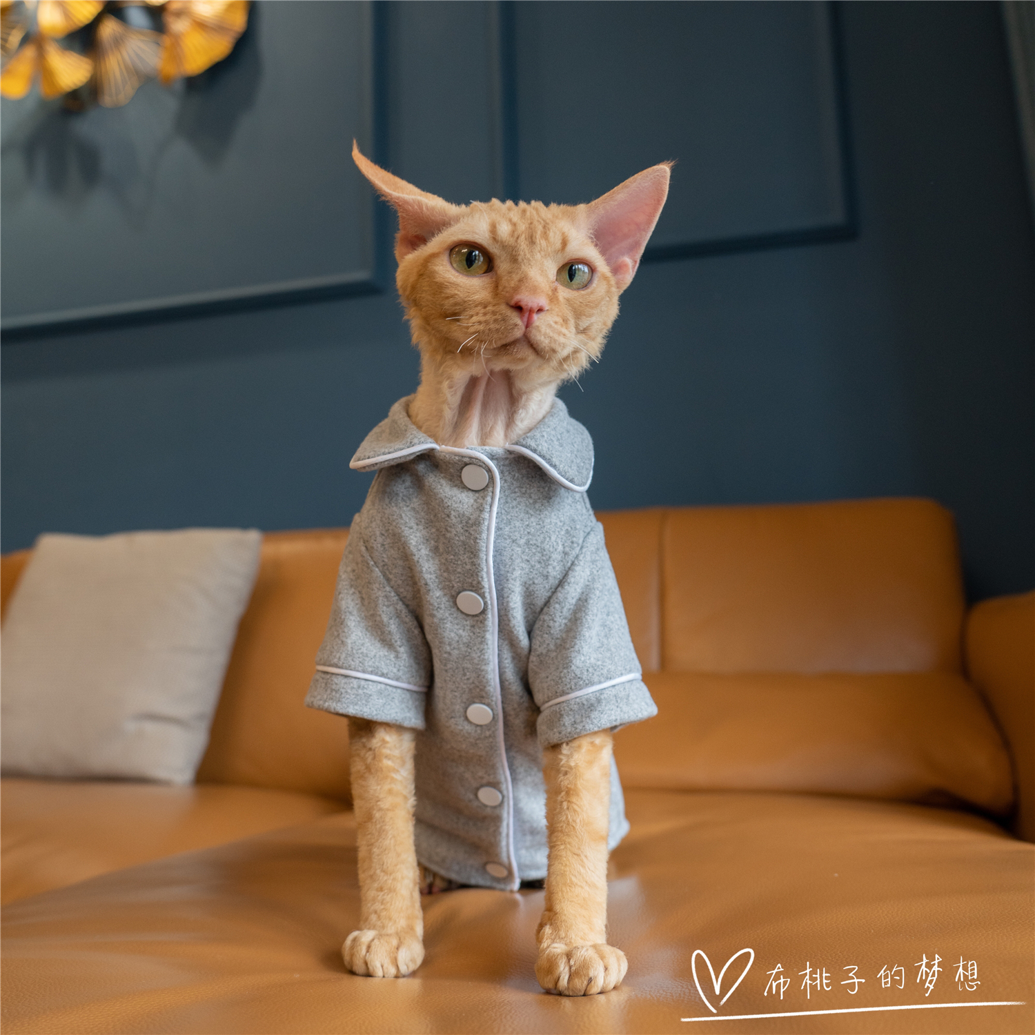 GINGERAIN无毛猫睡衣自发热