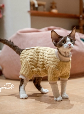 GINGERAIN 夹棉保暖卫衣实用德文猫衣服无毛猫包肚四腿外出服
