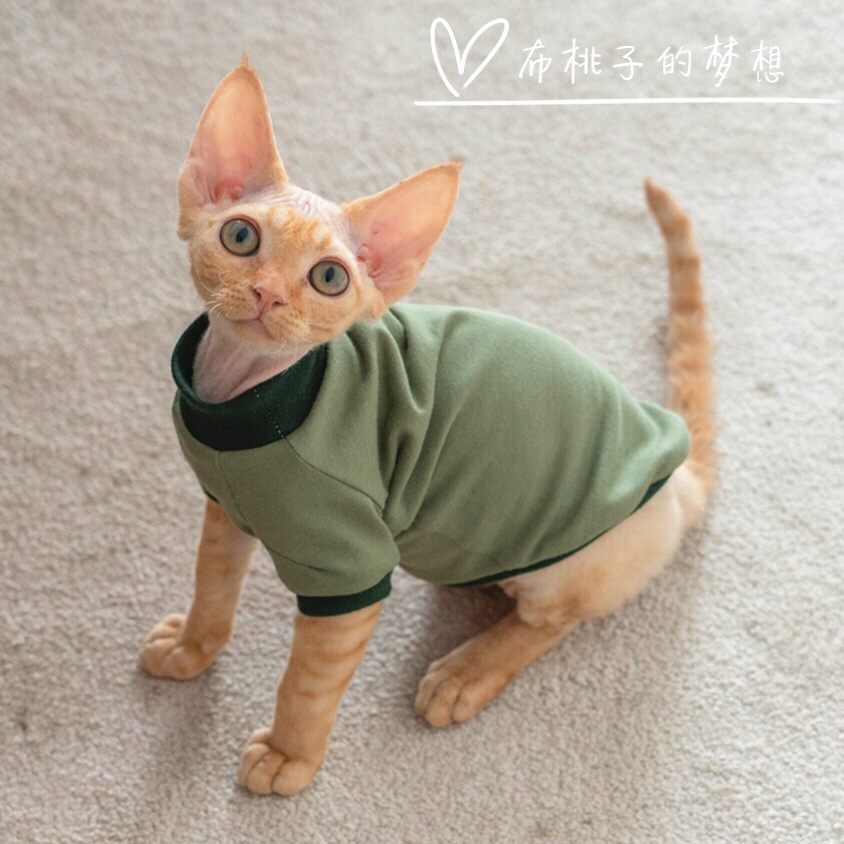 纯棉无毛猫衣服布桃子的梦想