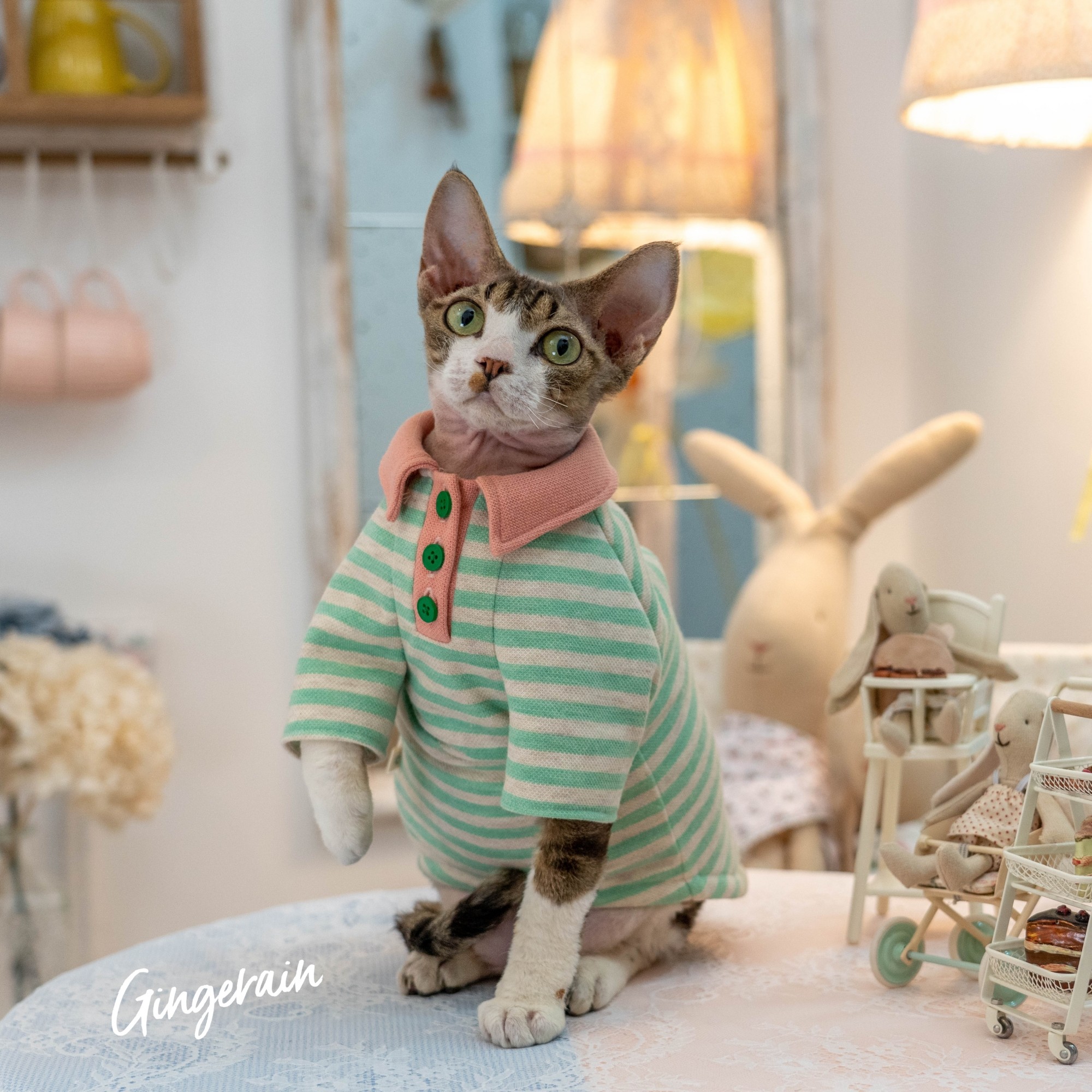 GINGERAIN 德文猫阿比无毛猫衣服条纹POLO衫撞色糖果系甜美卫衣