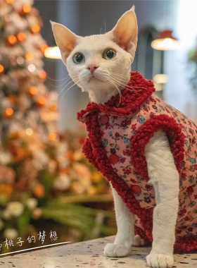 GINGERAIN 猫衣服马甲无毛猫德文柯尼斯暹罗保暖加绒复古背心