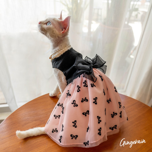 GINGERAIN德文猫衣服仙女背心