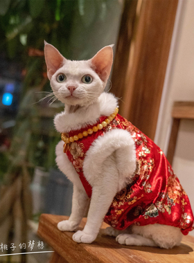 GINGERAIN 猫衣服金丝绒旗袍防舔抗起球新年加绒气质马甲无毛德文