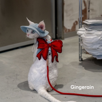 GINGERAIN 美少女战士德文猫牛仔胸背带可牵引绳遛猫神器无毛猫
