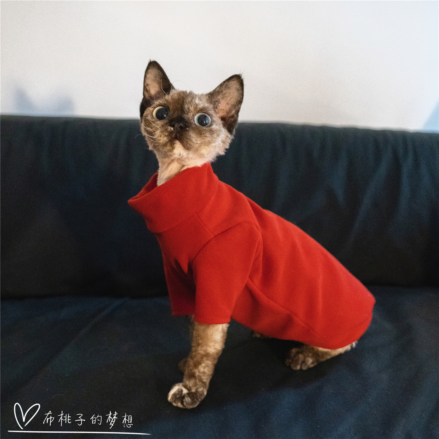 GINGERAIN无毛猫保暖打底衫