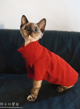 GINGERAIN 加厚300克重打底衫无毛猫德文猫衣服发热绒耐脏内衣