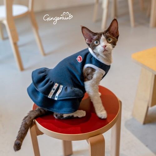 GINGERAIN 德文猫运动衫网球服猫衣服无毛猫防晒透气背心裙T恤