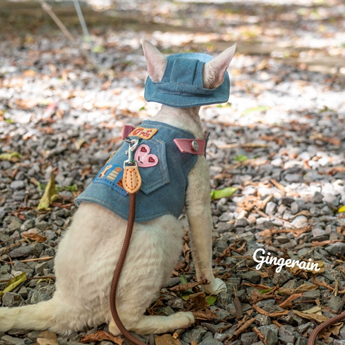 Кемпинг с джинсовой ткани с джинсовым ремешками на открытом воздухе.