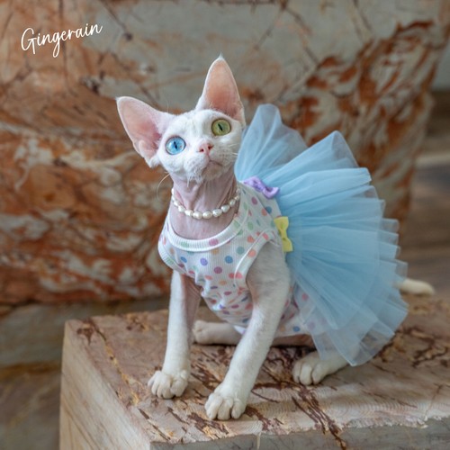 GINGERAIN 德文猫衣服无毛猫仙女抗皱拼接网纱蓬蓬裙层层蛋糕裙