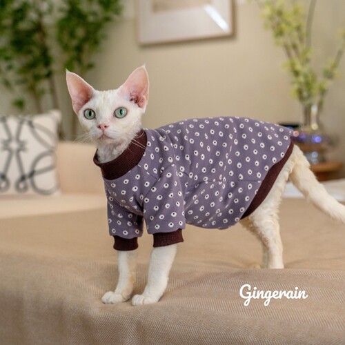GINGERAIN无毛猫保暖卫衣