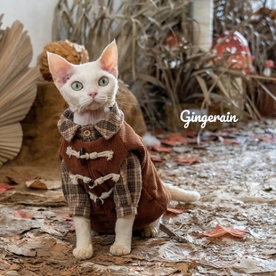 GINGERAIN 猫衣服无毛猫德文暹罗灯芯绒复古木扣森系夹棉马甲